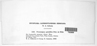 Image Associated With the Occurence